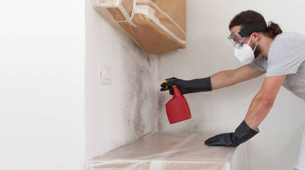 Professional Crawl Space Mold Removal technician working in Boston, MA