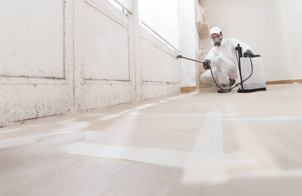 24/7 Emergency Crawl Space Mold Removal experts in Boston, MA
